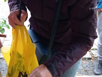 44. Święto Kwiatów, Owoców i Warzyw - w optymistycznym kolorze, 